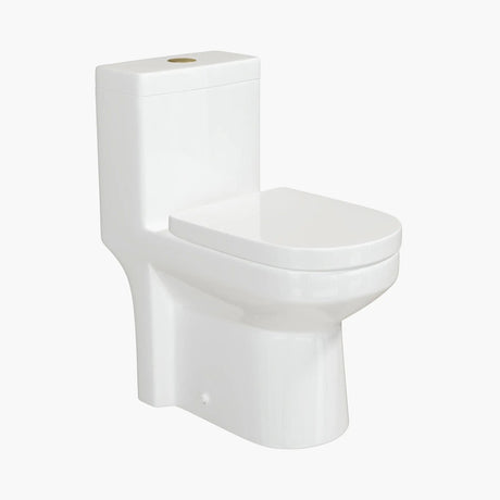 HOROW Compact One-Piece Toilet with Golden Button & Dual Flush | Manufacturer Supply