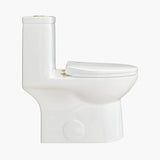 HOROW 12 Inch Modern Floor Mounted Toilet Luxury Toilet Design Model T0337W-G