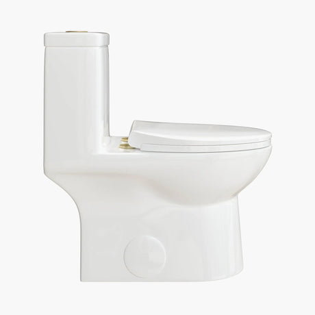 HOROW 12 Inch Modern Floor Mounted Toilet Luxury Toilet Design Model T0337W-G