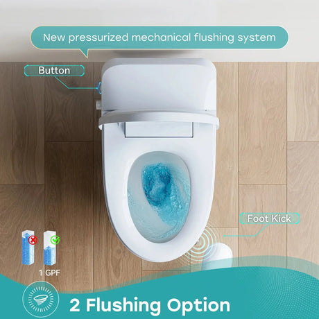 Unique HOROW T30 Bidet Toilet with Non-Electric Seat and Pressure-Assisted System