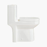 HOROW Compact One-Piece Toilet with Golden Button & Dual Flush | Manufacturer Supply