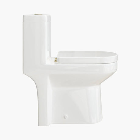 HOROW Compact One-Piece Toilet with Golden Button & Dual Flush | Manufacturer Supply