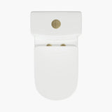 HOROW Compact One-Piece Toilet with Golden Button & Dual Flush | Manufacturer Supply