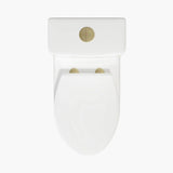 HOROW 12 Inch Modern Floor Mounted Toilet Luxury Toilet Design Model T0337W-G