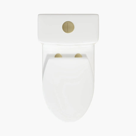 HOROW 12 Inch Modern Floor Mounted Toilet Luxury Toilet Design Model T0337W-G