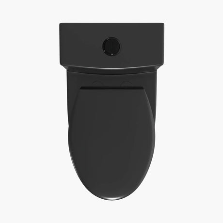 Unique HOROW T0338B Black One-Piece Toilet with Elongated Bowl