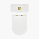 HOROW 8733G Compact One-Piece Toilet – 12" Rough-In with Gold Button