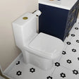 HOROW 8733G Compact One-Piece Toilet – 12" Rough-In with Gold Button