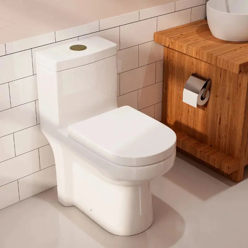 HOROW Compact One-Piece Toilet with Golden Button & Dual Flush | Manufacturer Supply