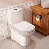 HOROW Compact One-Piece Toilet with Golden Button & Dual Flush | Manufacturer Supply