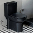 HOROW 8733BU Compact Black Toilet with UF Soft-Close Seat