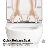 HOROW Dual Flush Toilet 12 Inch Rough In Toilet Model 76D