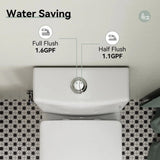 HOROW Dual Flush Toilet 12 Inch Rough In Toilet Model 76D