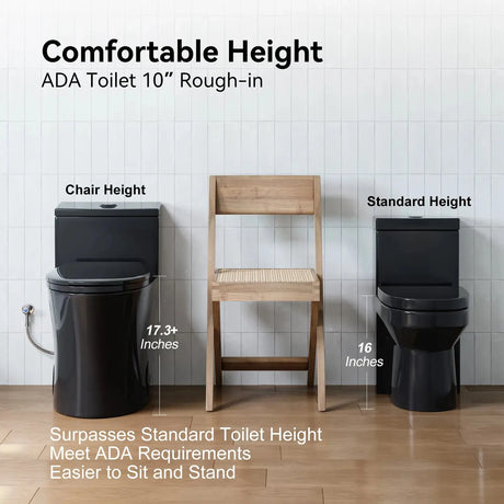 HOROW 10 Inch Rough In Toilet Black One Piece Toilet Model T0338B-10