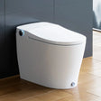 Factory HOROW T05 Toilet Bidet Combo with Tank and Pump