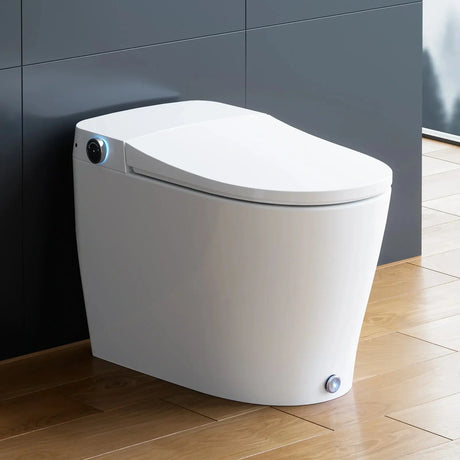 Factory HOROW T05 Toilet Bidet Combo with Tank and Pump