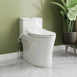 HOROW T0338W-BD Low Tank One-Piece Toilet with Cold Water Wash