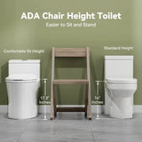 HOROW T0338W-BD Low Tank One-Piece Toilet with Cold Water Wash