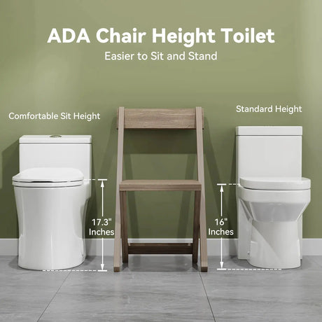 HOROW T0338W-BD Low Tank One-Piece Toilet with Cold Water Wash
