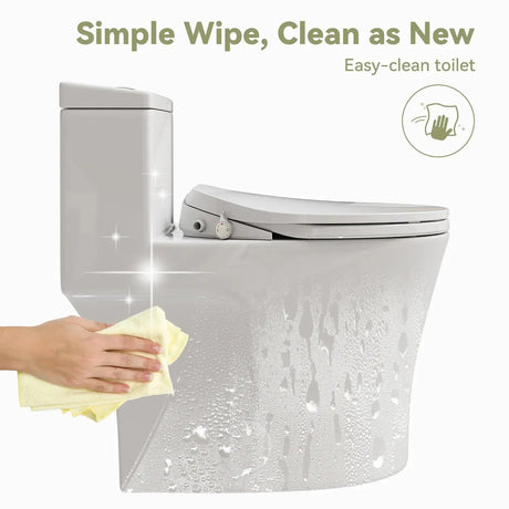 HOROW T0338W-BD Low Tank One-Piece Toilet with Cold Water Wash