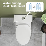 HOROW T0338W-BD Low Tank One-Piece Toilet with Cold Water Wash