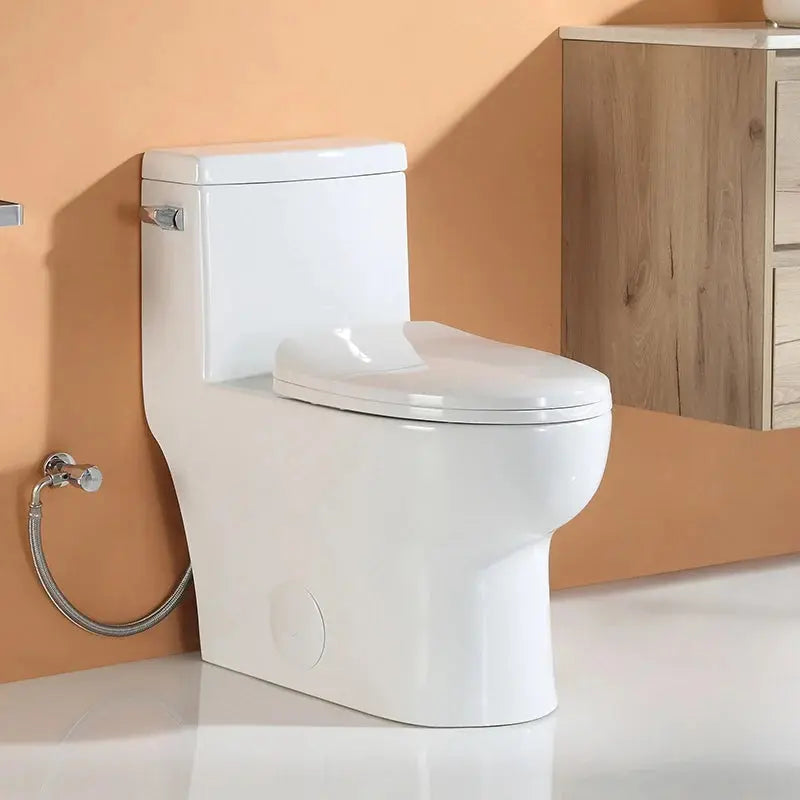 Wholesale HOROW ST076W Single Flush One-Piece Toilet