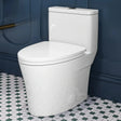 HOROW T0307W Elongated One-Piece Toilet with Dual Flush – Manufacturer Supply