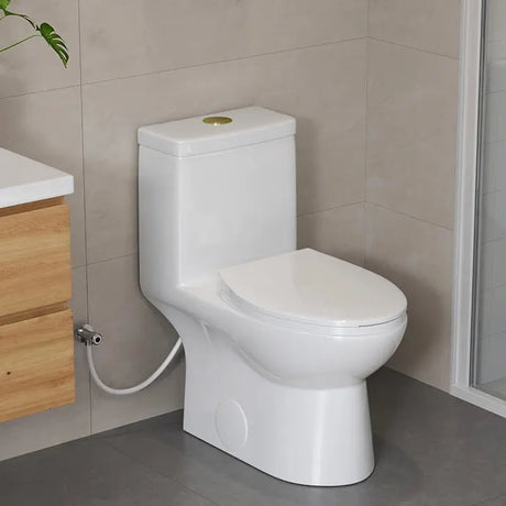 HOROW 12 Inch Modern Floor Mounted Toilet Luxury Toilet Design Model T0337W-G