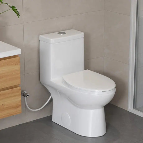 Best Quality HOROW T0337W Elongated One-Piece Toilet with Dual Flush