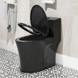 Unique HOROW T0338B Black One-Piece Toilet with Elongated Bowl
