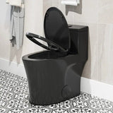 Unique HOROW T0338B Black One-Piece Toilet with Elongated Bowl