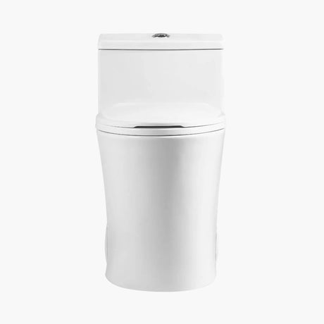 HOROW 10 Inch Rough Toilet Bowl Elongated One Piece Toilet Model T0338W-10