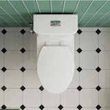 TOP Rated HOROW T0338W One Piece Toilet with Dual Flush