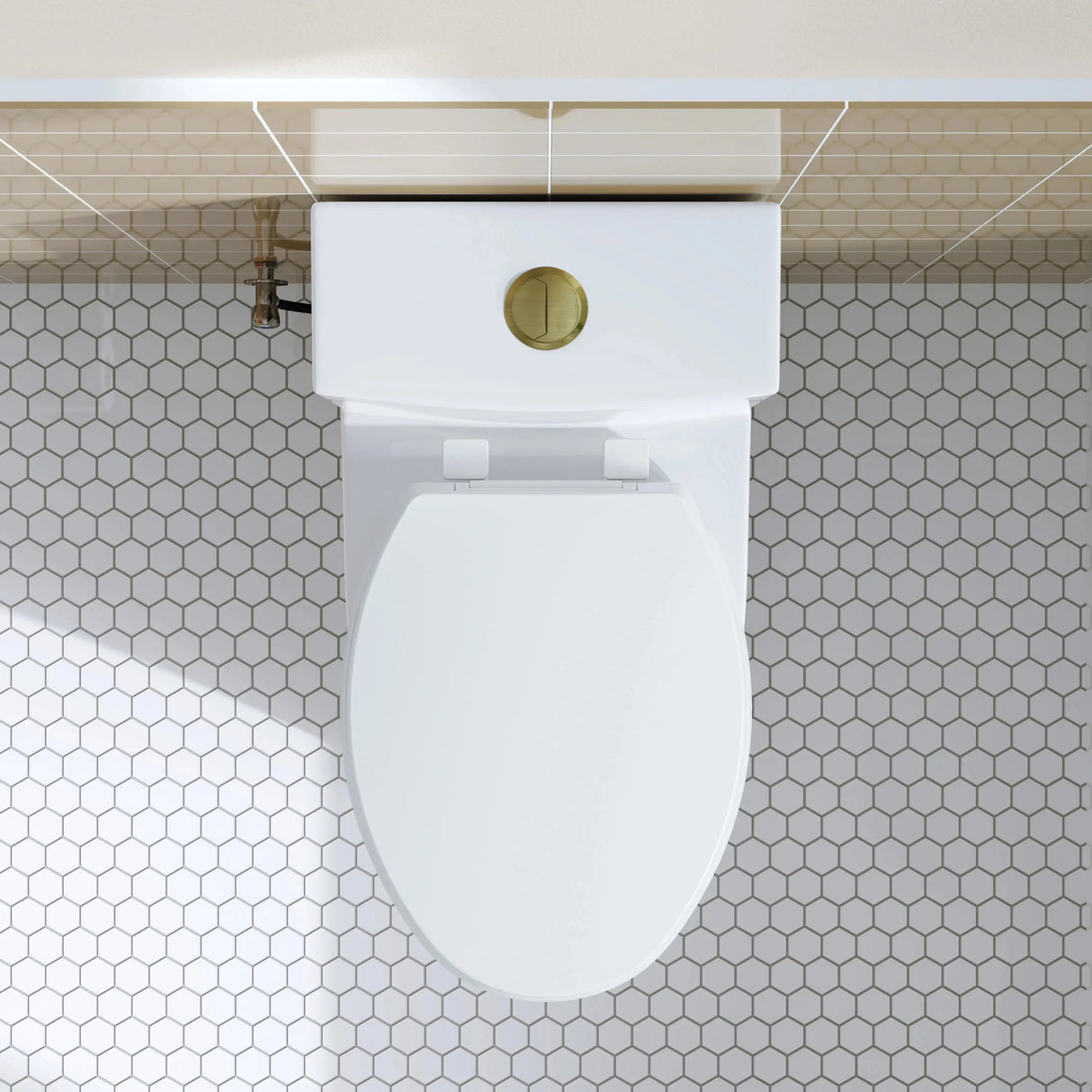 HOROW Elongated Dual Flush One Piece Toilet ADA Floor Mounted Toilet Model T0338W-G