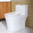 TOP Rated HOROW T0338W One Piece Toilet with Dual Flush