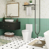 TOP Rated HOROW T0338W One Piece Toilet with Dual Flush