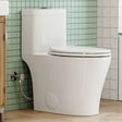 HOROW T0351W 12" Rough-In Elongated Toilet with Chrome Dual Flush