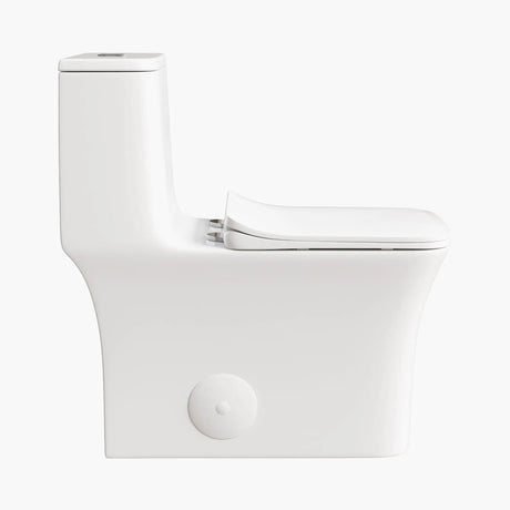 HOROW Best Water Efficient Toilet Elongated One Piece Toilet Model T0413W