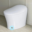 High Quality HOROW T10 Tankless Smart Toilet with Dual Flush and Cold Wash