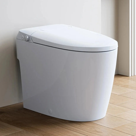 Unique HOROW T30 Bidet Toilet with Non-Electric Seat and Pressure-Assisted System