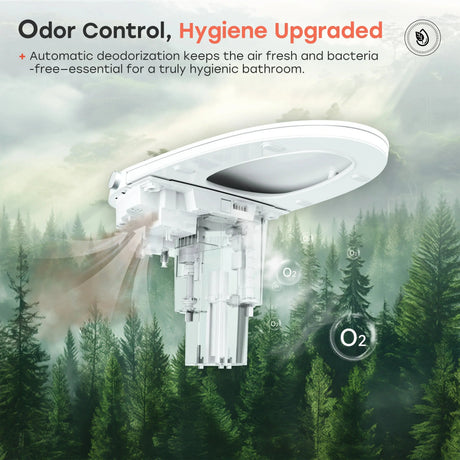 Wholesale HOROW T33 Smart Toilet with Built-In Bidet & ADA Compliance