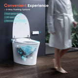 Wholesale HOROW T33 Smart Toilet with Built-In Bidet & ADA Compliance