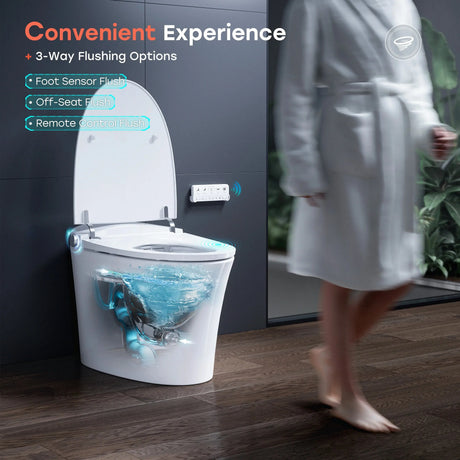Wholesale HOROW T33 Smart Toilet with Built-In Bidet & ADA Compliance