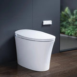 Wholesale HOROW T33 Smart Toilet with Built-In Bidet & ADA Compliance