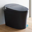 Factory HOROW T36 Black Tankless Toilet with Pump