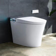 10 Inch Rough In Toilet with Bidet and Dryer for Power Outage Model T37D