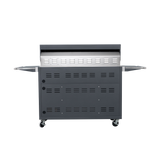 Grey Painting LPG 49'' Stainless Steel Standard Grill