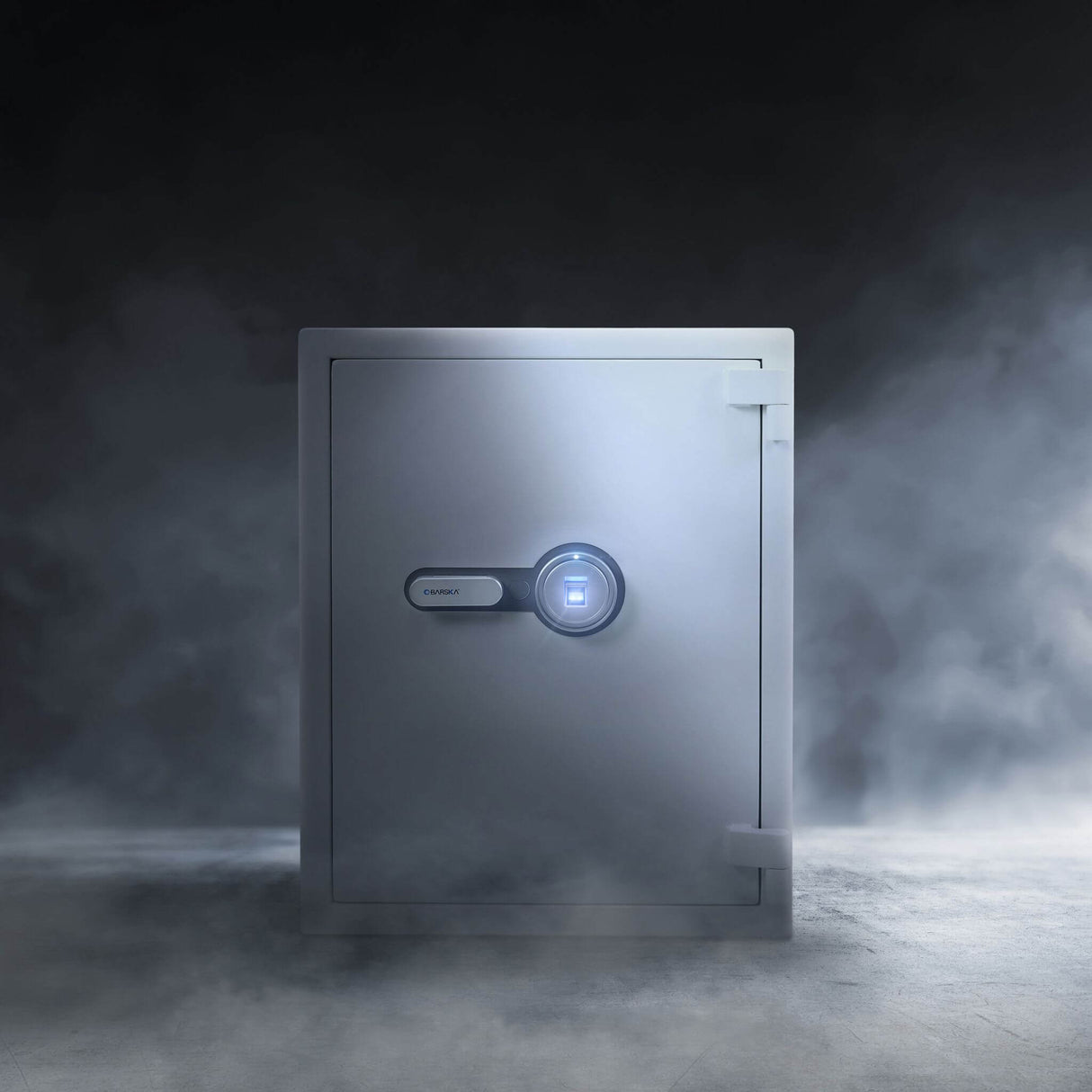 Barska 4.48 CF Large Heavy-Duty Fireproof Biometric Safe (SAK83490)