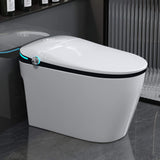 Nuvia Luxury Smart Toilet With Built-In Auto Open And Close Bidet Seat, Foot Sensor, LED Display And Night Light (SAK31256)