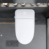 Nuvia Luxury Smart Toilet With Built-In Auto Open And Close Bidet Seat, Foot Sensor, LED Display And Night Light (SAK31256)